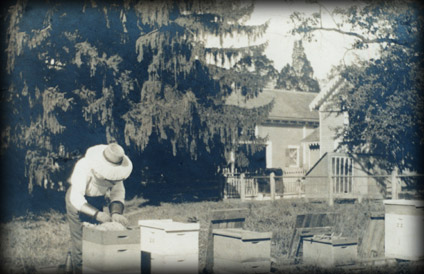 farmbees.jpg