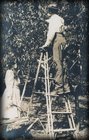 applepicking.jpg