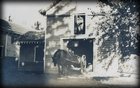 barnhorse.jpg