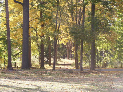 fallsouthrdpath.jpg