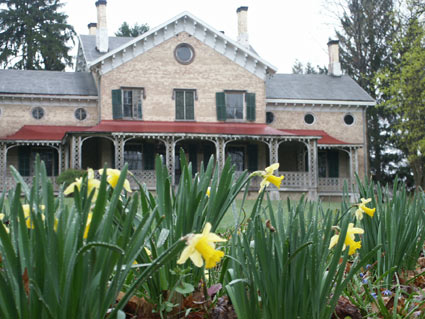 springfrontflowers.jpg
