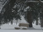 winterbench.jpg