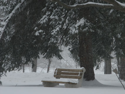 winterbench.jpg